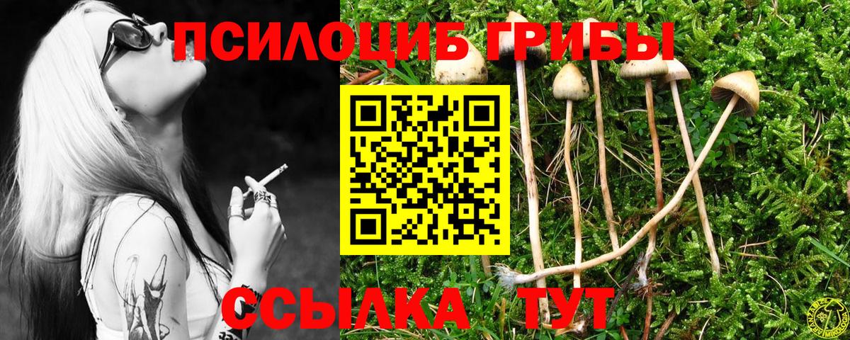 Красногорск  Галлюциногенные грибы ЛСД  наркошоп  Вход с VPN 